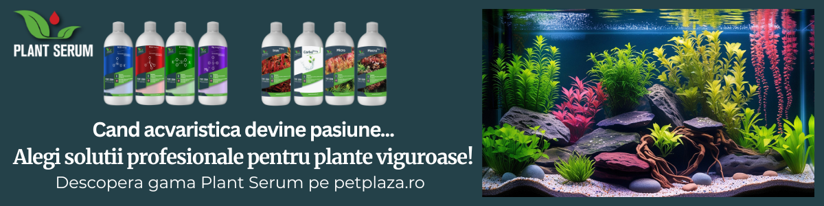 Asigură Sănătatea Plantelor de Acvariu: Importanța Oligoelementelor și Semnele Carenței!
