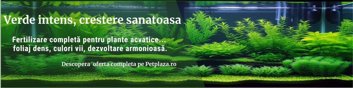 Asigură Sănătatea Plantelor de Acvariu: Importanța Oligoelementelor și Semnele Carenței!