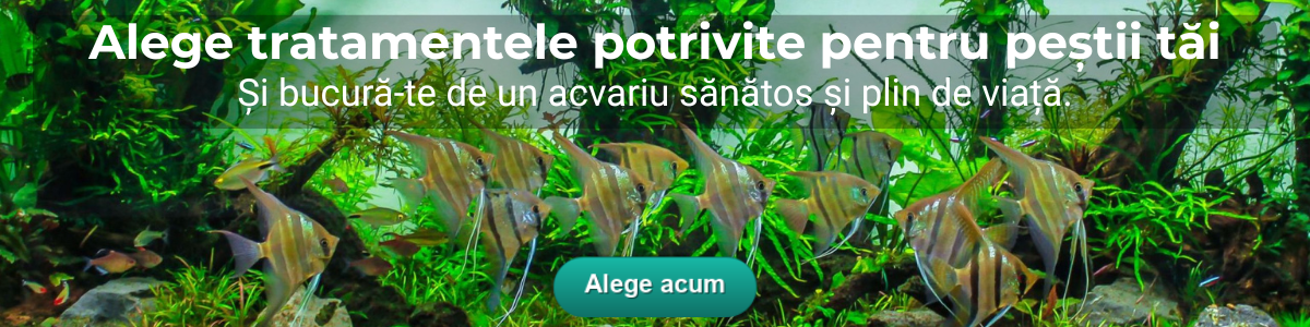 Cum Tratezi Bolile la Peștii de Acvariu - Ghid Practic pentru Tratamentele Aquarium Münster