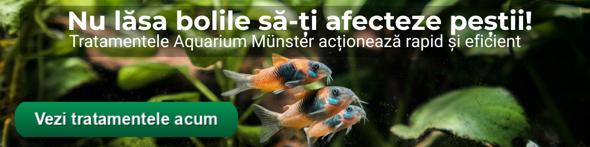 Cum Tratezi Bolile la Peștii de Acvariu - Ghid Practic pentru Tratamentele Aquarium Münster