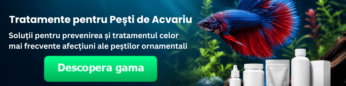 Banner pentru categoria de tratamente destinate peștilor de acvariu, cu pește Betta sănătos și ambalaje generice de produse pentru îngrijirea sănătății peștilor ornamentali.